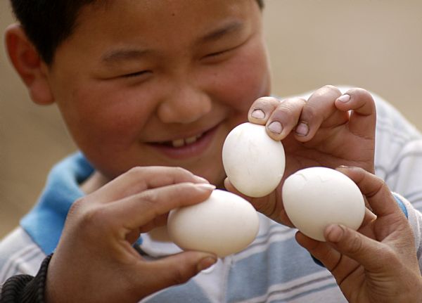 Children play a traditional game of egg collision in Heze, east China's Shandong Province, April 5, 2010. It is a local tradition to knock boiled eggs against each other on Qingming, the Tomb Sweeping Day, which falls on April 5 this year. One loses when his/her egg is cracked. [Xinhua]