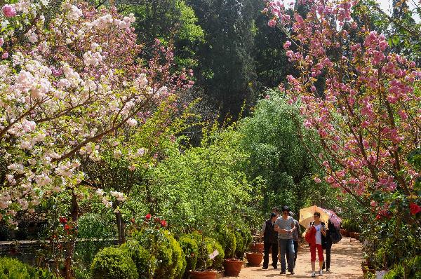  Tourists enjoy themselves at a park in Kunming, capital of southwest China's Yunnan Province, on April 4, 2010, the second day of the three-day Qingming holiday. Qingming, or Tomb-sweeping Day, was made an official holiday in response to public appeal in 2008. (Xinhua/Chen Haining)