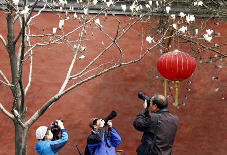 People take photographs of blossoming trees near Beijing's Tiananmen Square April 5, 2010. Spring officially started on March 1, but temperatures in the Chinese capital have been below average for this time of year. [Agencies] 