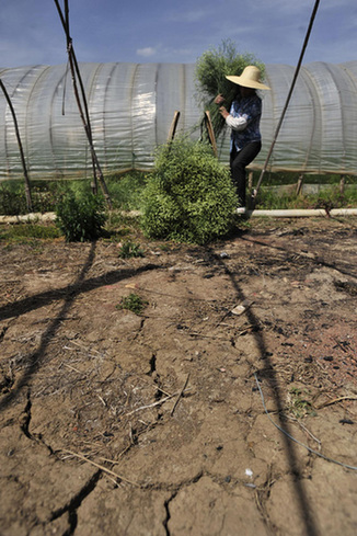 A farmer works on dried-up land where flowers used to grow in Southwest China's Yunnan province, on April 6, 2010. [Photo/Xinhua]