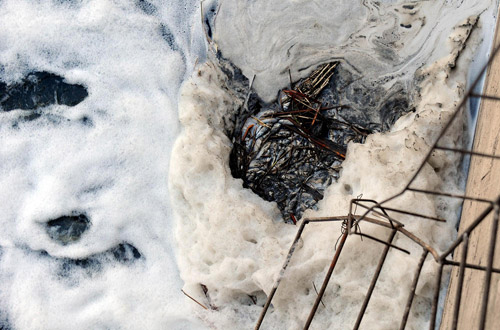 Froth and dead fish pile up at the water outlet port in a reservoir in Shenyang, capital of Northeast China's Liaoning province, April 6, 2010. [Photo: Xinhua] 