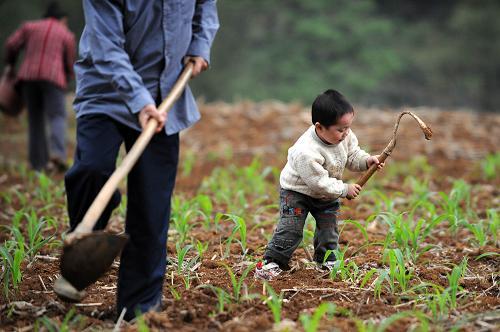 Three-year-old boy Hu Nongda and his grandfather work in the field in Guling Village, Mashan County of south China's Guangxi Zhuang Autonomous Region on April 7, 2010. Parts of southern China are being ravaged by a severe three-season drought. More than 20 million of people lack adequate water supplies, and millions of acres of cropland are too dry to plant. [Xinhua photo]