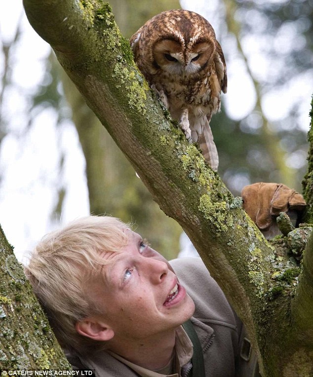 Scaring of heights is not exclusive to human beings. We now have an owl named Troy flying no higher than 1.8 metres off the ground, according to media reports. [CRI]