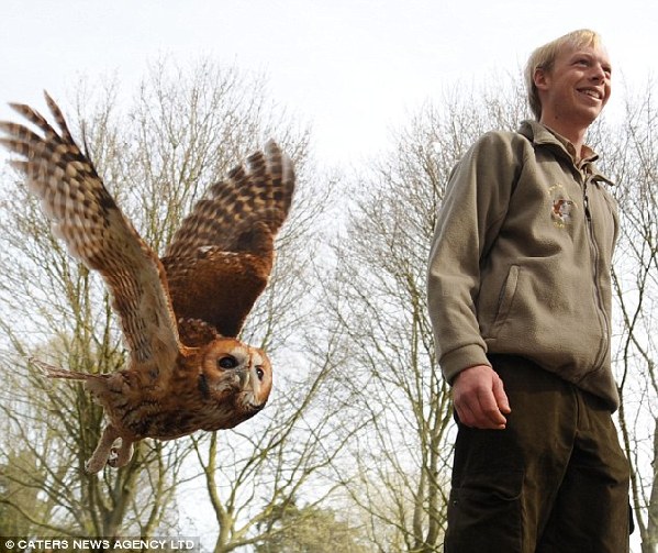 One-year-old Troy was found injured at a young age by British man Gareth Tonen, who is now Troy&apos;s trusted handler. [CRI]