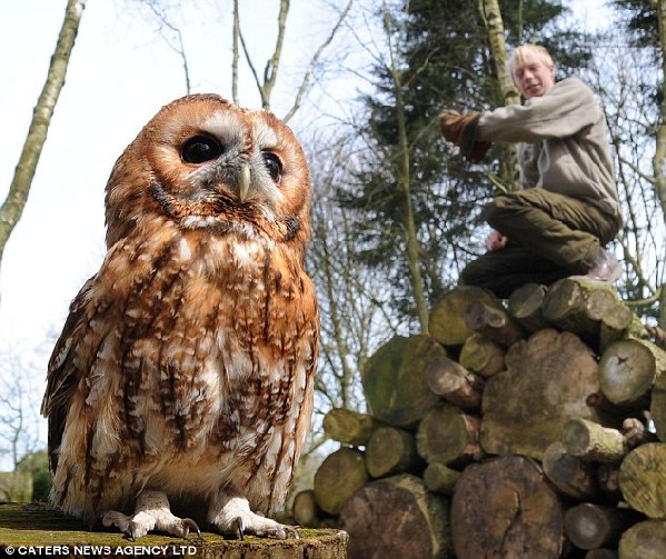 The nervous flyer has &apos;forgotten how to be a bird after being hand-reared almost from birth.&apos; [CRI]