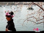 Yuyuantan Park is located on the southern end of Sanlihe Road, with its main gate directly opposite the Southern Road of the Altar of the Moon (Yuetan Nanjie). It's cherry blossom time and that means a festival. Early April in Yuyuantan Park, cherry trees have become the stars in the spotlight. [Photo by Jia Liang]