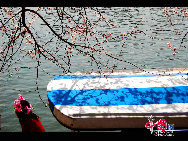 Yuyuantan Park is located on the southern end of Sanlihe Road, with its main gate directly opposite the Southern Road of the Altar of the Moon (Yuetan Nanjie). It's cherry blossom time and that means a festival. Early April in Yuyuantan Park, cherry trees have become the stars in the spotlight. [Photo by Jia Liang]