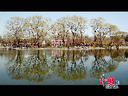 Yuyuantan Park is located on the southern end of Sanlihe Road, with its main gate directly opposite the Southern Road of the Altar of the Moon (Yuetan Nanjie). It's cherry blossom time and that means a festival. Early April in Yuyuantan Park, cherry trees have become the stars in the spotlight. [Photo by Jia Liang]