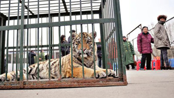 Zoo stages wild protest