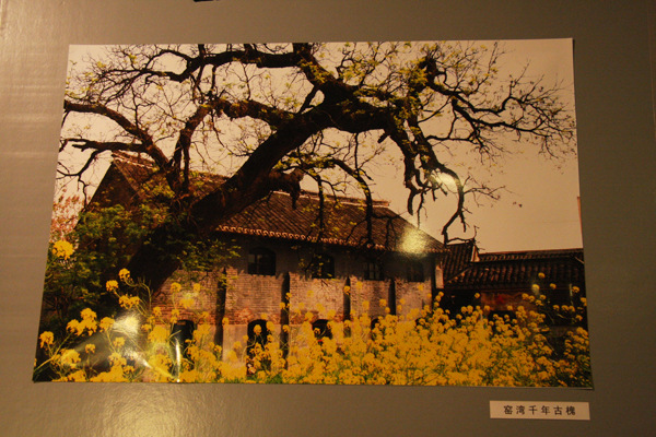 A photo on display shows the beautiful scenery in Yaowan Township of Xinyi City, east China's Jiangsu Province. [Photo: CRIENGLISH.com]