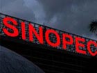 Sinopec to pay US$4.65 bln for oil sands