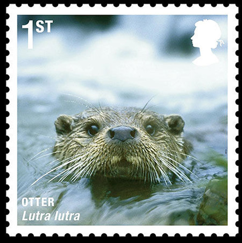 Otter [sci.163.com]