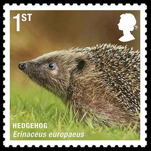 Hedgehog [sci.163.com]