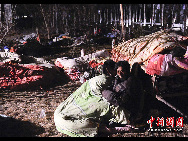 About 400 people have died and 10,000 others were injured after a 7.1-magnitude earthquake hit Yushu early on Wednesday, April 14, 2010. [Chinanews.com]