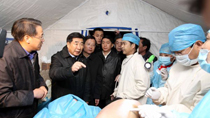Chinese vice premier inspects quake-hit Yushu