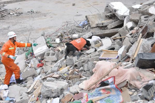 A rescuer follows a sniffer dag in searching for survivors among debris in quake-hit Yushu County, Qinghai Province, April 16, 2010. A dragnet serach for survivors is implemented throughly at all rescuing sites as the 'golden 72 hours', a key surviving chance for buried people comes on Friday. Yushu was jolted by a 7.1-magnitude earthquake Wednesday morning, which has left at least 1144 people dead.