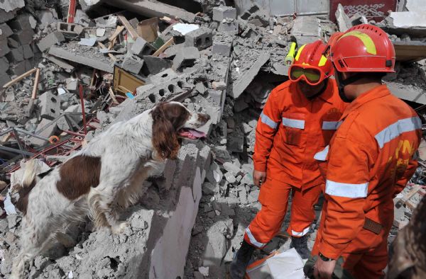 Members of China International Search and Rescue Team work in the quake-hit Yushu Tibetan Autonomous Prefecture of northwest China's Qinghai Province, April 19, 2010.(