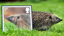 UK Royal Mail releases endangered mammal stamps