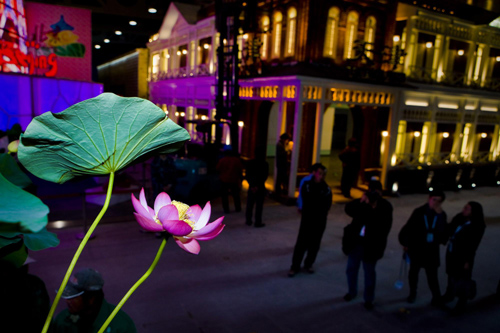 Lotuses decorate China Pavilion