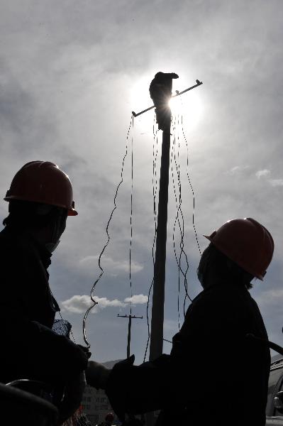 Electric power workers repair Electric facilities in the quake-hit Yushu Tibetan Autonomous Prefecture of northwest China's Qinghai Province, April 19, 2010. 