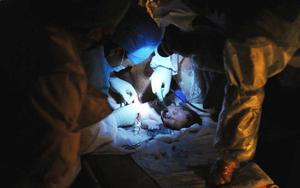 Doctors and nurses take care of a newborn baby at a makeshift shelter in Yushu County, northwest China's Qinghai Province, on April 19, 2010. 