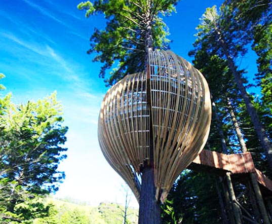 Photo shows a pod-shaped restaurant built on a tree near Auckland, New Zealand. [CRI]