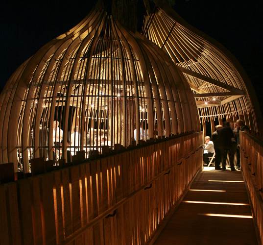 Photo shows a pod-shaped restaurant built on a tree near Auckland, New Zealand. [CRI]