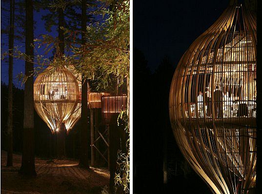 Photo shows a pod-shaped restaurant built on a tree near Auckland, New Zealand. [CRI]