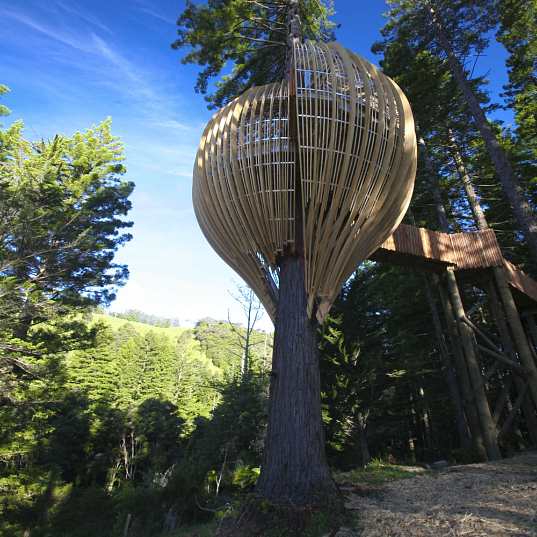 Photo shows a pod-shaped restaurant built on a tree near Auckland, New Zealand. [CRI]