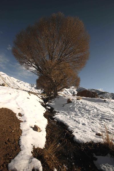 Photo taken on April 21, 2010 shows a snow scene in Dangjinshan Mountain in Dunhuang, northwest China's Gansu Province on April 21, 2010. [Xinhua/Wang Yongji]