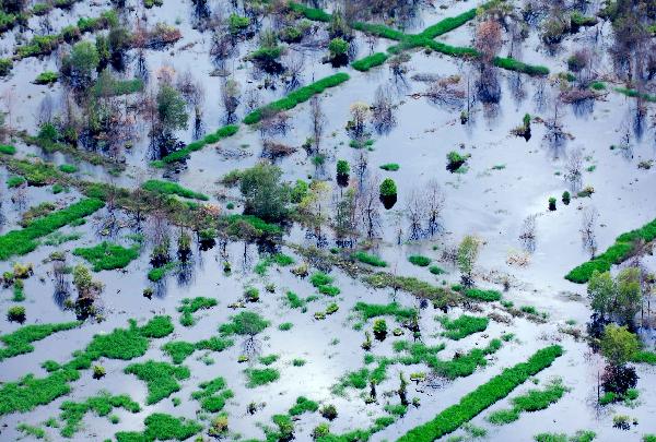  A bird&apos;s eye view shows the area after forest opening in the Indonesian province of Jambi on Sumatra island, April 20, 2010. [Xinhua]