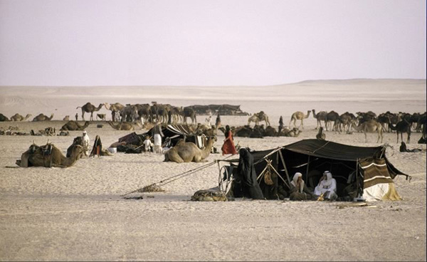 Rub' al Khali desert, Saudi Arabia [huanqiu.com] 