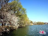 hoto shows the beautiful scenery in the Summer Palace in Beijing, capital of China. [Photo by Zhang Xiaobo]