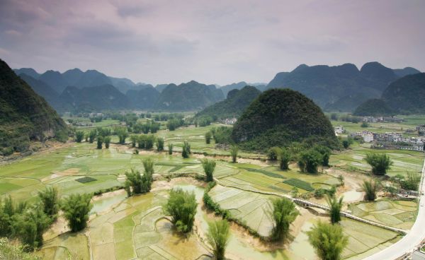  Photo taken on April 24, 2010 shows the pastoral scenery in Jiangping Village in Wuzhuan Township of Donglan County in Hechi City, southwest China's Guangxi Zhuang Autonomous Region. Most areas of the Hechi City met the rainy weather in the late April as they have been in serious drought for months before. [Xinhua]