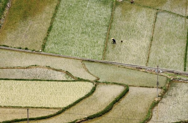  Photo taken on April 24, 2010 shows the pastoral scenery in Jiangping Village in Wuzhuan Township of Donglan County in Hechi City, southwest China's Guangxi Zhuang Autonomous Region. Most areas of the Hechi City met the rainy weather in the late April as they have been in serious drought for months before. [Xinhua]