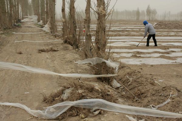 A farmer ploughs a field after the gale in Shangxin Village in Xuebai Township of Wuwei County in Wuwei City, northwest China's Gansu Province, April 25, 2010. The Hexi Corridor had been hit by the most serious sandstorm in 9 years since Friday.