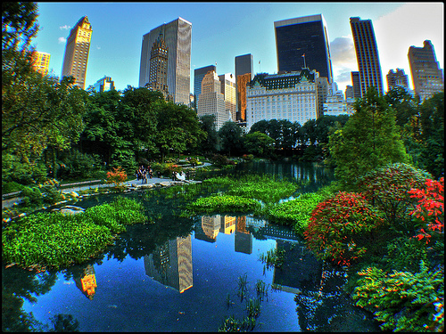 Central Park, New York. [CRI]