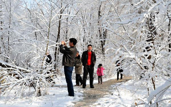 Local residents walk on the path covered by snow in a park of Zhalantun City, north China's Inner Mongolia Autonomous Region, April 27, 2010. Under the impact of cold front from Baikal, the snow started to fall down on Monday and exceeded 20mm thick in Zhalantun. [Photo: Xinhua]