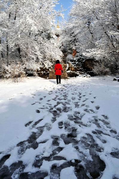 A local resident walks on the path covered by snow in a park of Zhalantun City, north China's Inner Mongolia Autonomous Region, April 27, 2010. Under the impact of cold front from Baikal, the snow started to fall down on Monday and exceeded 20mm thick in Zhalantun. [Photo: Xinhua]