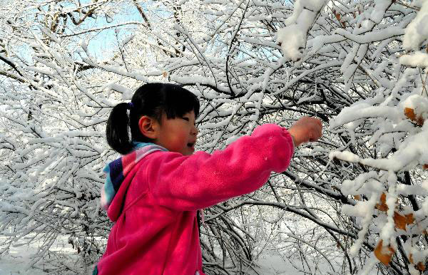 A child plays in snow in a park of Zhalantun City, north China's Inner Mongolia Autonomous Region, April 27, 2010. Under the impact of cold front from Baikal, the snow started to fall down on Monday and exceeded 20mm thick in Zhalantun. [Photo: Xinhua] 