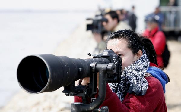 A woman focuses her lens on the scene of large flocks of birds hovering over the birds-viewing garden on the wetland at the estuary of the Yalu River, bordering on China and the Democratic People's Republic of Korea (DPRK). [Xinhua/Qi Wanpeng] 