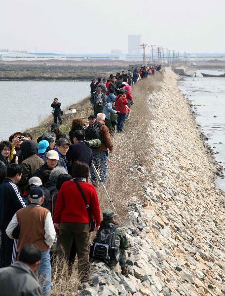 People watch and take photos of large flocks of birds hovering over the birds-viewing garden on the wetland at the estuary of the Yalu River, bordering on China and the Democratic People's Republic of Korea (DPRK). [Xinhua/Chen Hao]