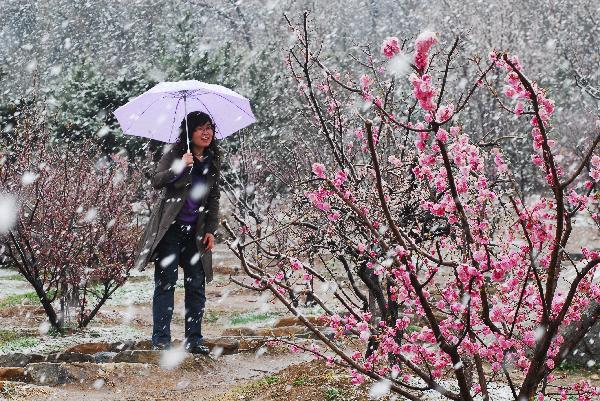 A woman views snow scenery in Nanshan Park in Yantai, east China's Shandong Province, April 28, 2010. A snowfall hit the city on Wednesday.[Xinhua]