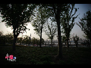 Photo taken on April 29, 2010 shows the beautiful scenery in the World Expo Park in Shanghai, east China.  [Photo by Yang Jia