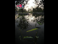 Photo taken on April 29, 2010 shows the beautiful scenery in the World Expo Park in Shanghai, east China.  [Photo by Yang Jia