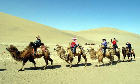A group of tourists riding camels enjoys the sightseeing of the Singing Sand Dunes, a popular tour resort in the subsurb of Dunhuang City, northwest China's Gansu Province, April 28, 2010. 