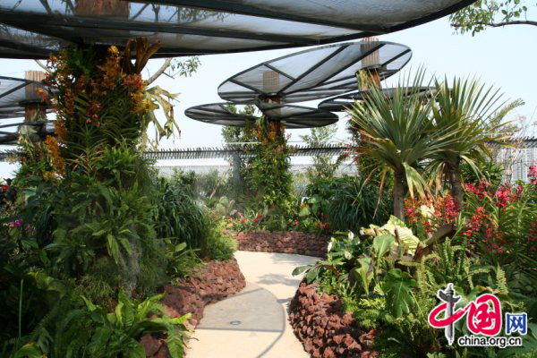 A rooftop garden landscaped with mysterious flora and music fountains in Singapore pavilion