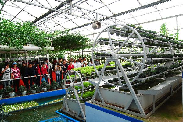 Visitors gather to appreciate a unique trundling technology of cropping, at the Vegetable Fair, which attracts great many visitors and procurators for sightseeing and deal-order by the virtue of new and high-tech cultivation methods, affluent varieties of strains, as well as novel horticultural sculpting, during the May 1 vacation, in Shouguang, east China's Shandong Province, May 2, 2010. The fair is slated to last until May 20. [Xinhua/Dong Naide]