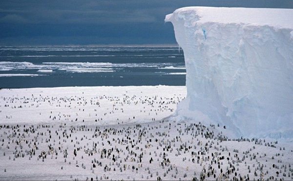 Antarctic Peninsula [huanqiu.com]