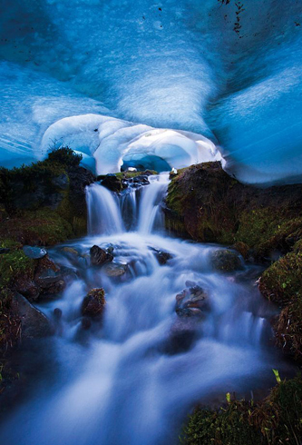 The Wildlife Photographer of the Year exhibition is an international photo show for the best photography featuring natural subjects.The competition is launched by two UK institutions: the Natural History Museum and BBC Wildlife Magazine, from 1964. 